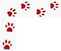A trail of paw prints around the feature